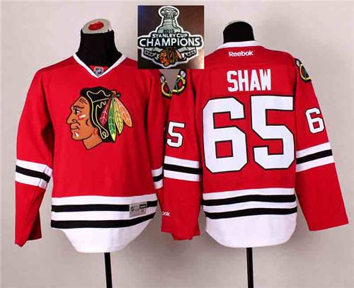 Chicago Blackhawks 65 Andrew Shaw Red 2014 Stadium Series 2015 Stanley Cup Champions NHL Jersey