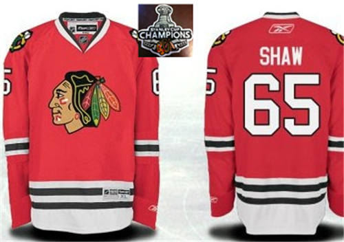 Chicago Blackhawks Jerseys 65 Andrew Shaw Red 2015 Stanley Cup Champions NHL Jersey
