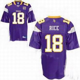 Minnesota Vikings Sidney Rice #18 Purple Jersey 50th Anniversary Patch