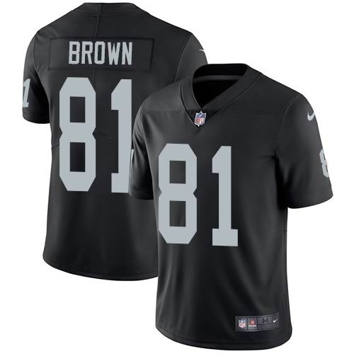 Nike Raiders #81 Tim Brown Black Vapor Untouchable Limited Jersey