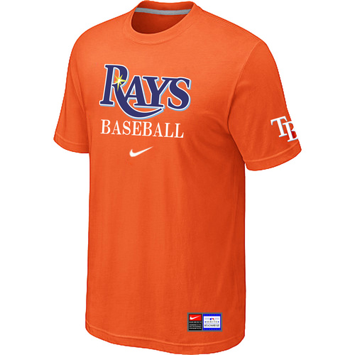 Tampa Bay Rays T-shirt-0010