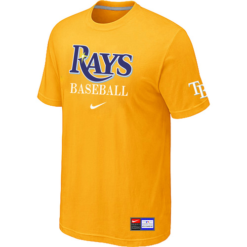 Tampa Bay Rays T-shirt-0013
