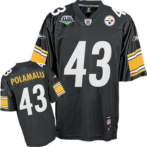 Youth Pittsburgh Steelers Troy Polamalu #43  Team Color Jersey